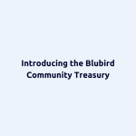 Introducing the Blubird Community Treasury